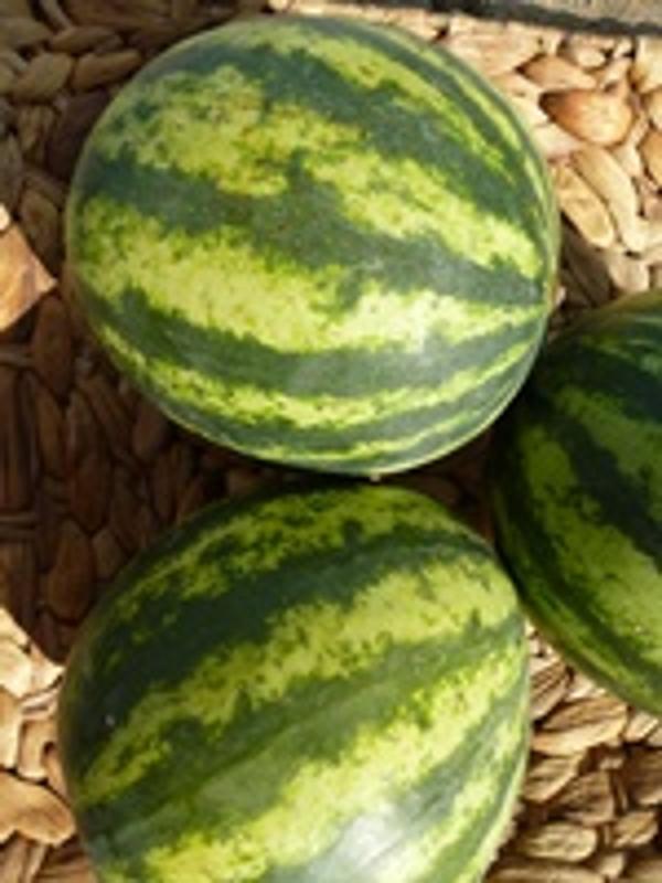 Produktfoto zu Mini-Wassermelone, 2kg /Stk