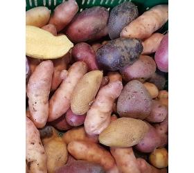 Kartoffeln, rot, aus Kleinwangen, vielseitig verwendbar