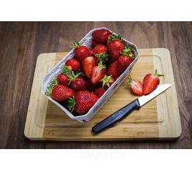 Erdbeeren aus Ballwil 500g