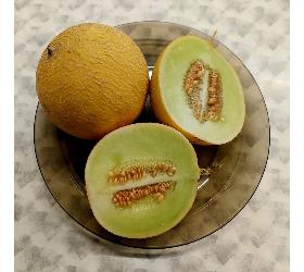 Melonen, Galia