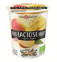 Bio Jogurt lactosefrei Mango