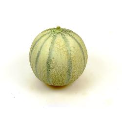 Honigmelone Cantaloupe, ca. 1,1 - 1,3kg