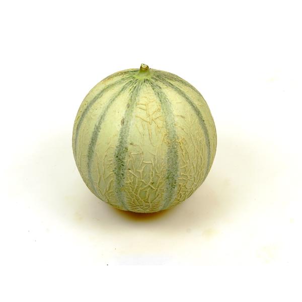 Produktfoto zu Honigmelone Cantaloupe, ca. 1,1 - 1,3kg