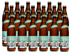 Pinkus Spezial Bier Pils - 24 x 0,33l