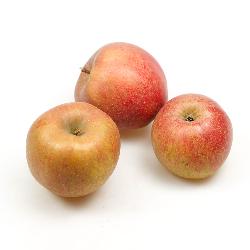 Apfel Boskoop, klein