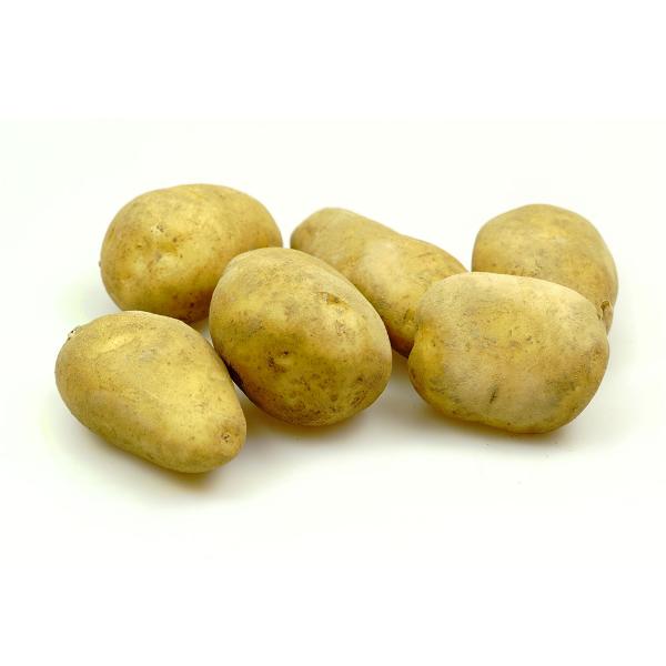 Produktfoto zu Kartoffeln - mehligkochend, Sorte Gunda - 1kg