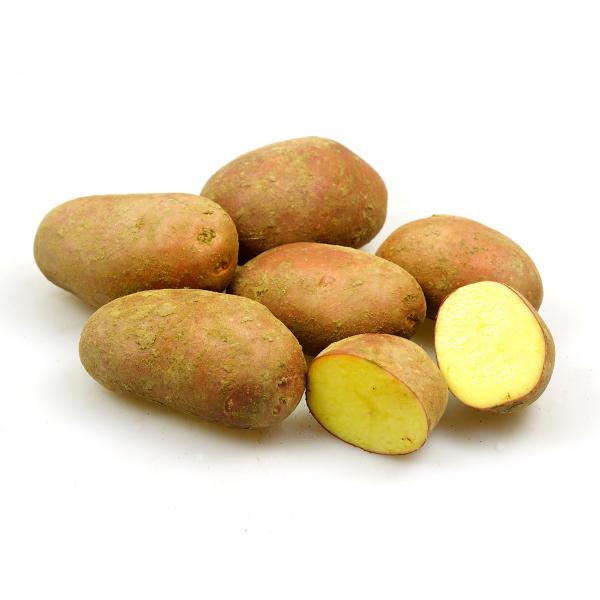 Produktfoto zu Kartoffeln - rotschalig, Sorte Laura - 1kg