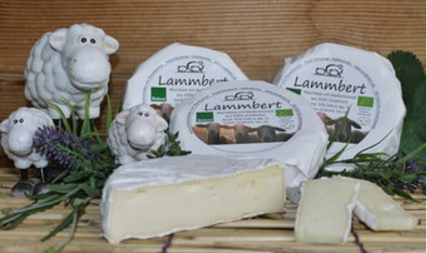Produktfoto zu Lammbert, Schaf-Weichkäse - ca. 250g