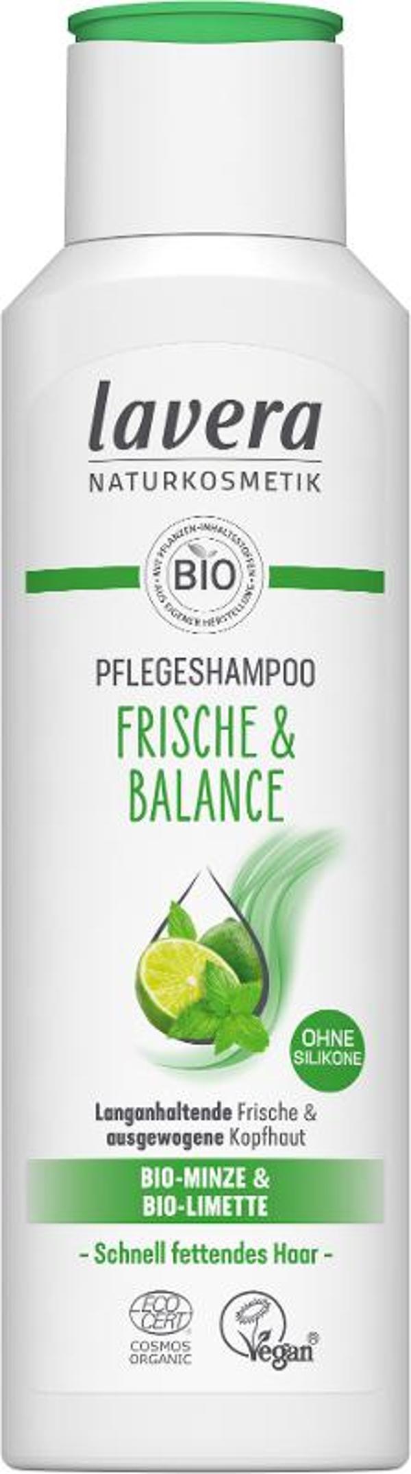 Produktfoto zu Lavera Shampoo Frische und Balance - 250ml