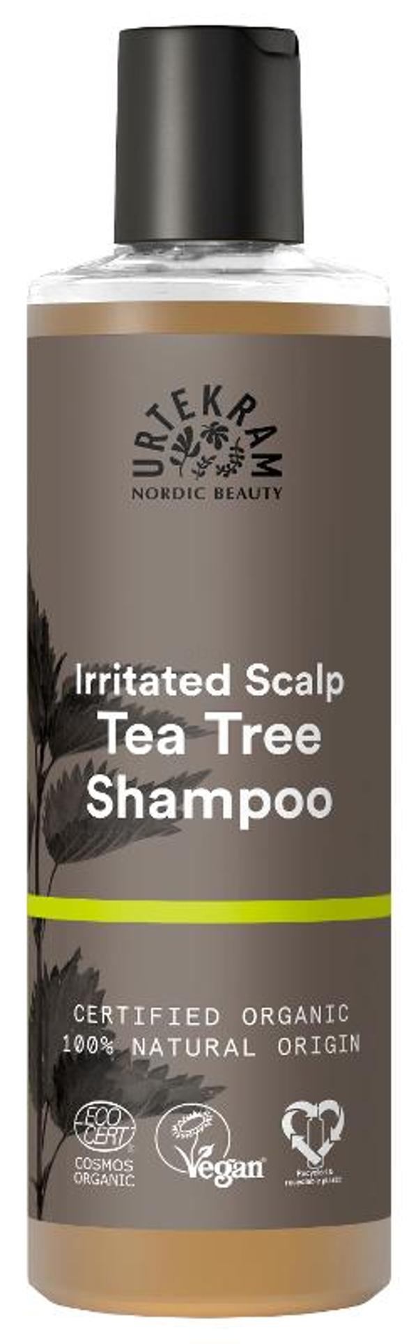 Produktfoto zu Teebaum Shampoo - 250ml