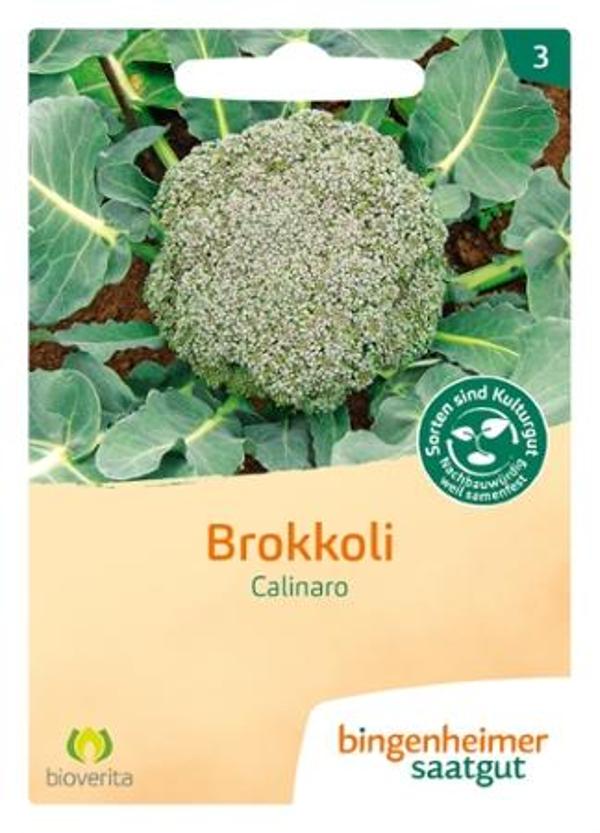 Produktfoto zu Saatgut - Brokkoli Calinaro