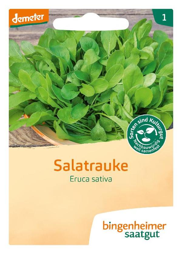 Produktfoto zu Saatgut - Salatrauke Rucola