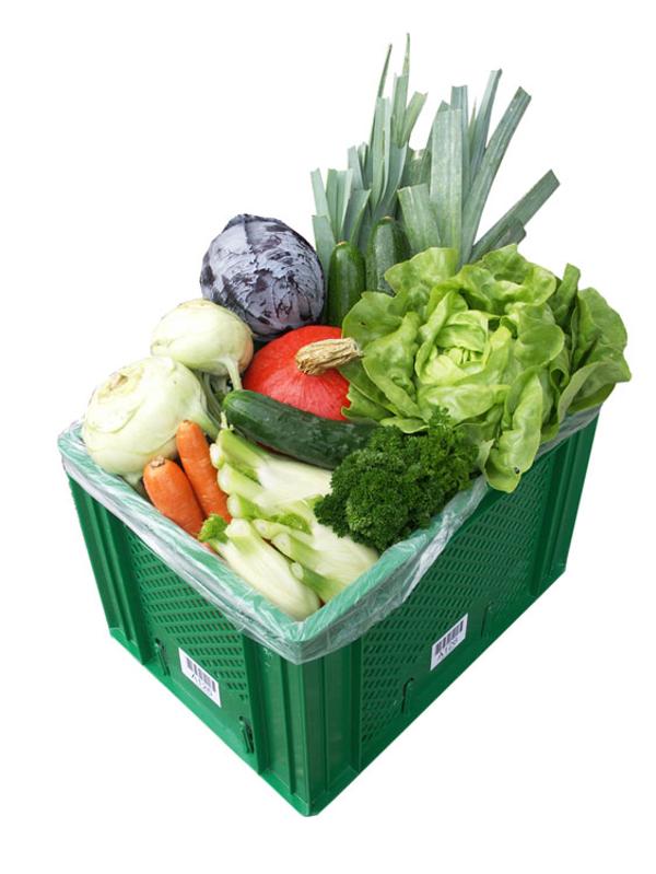 Gemüse-BioBouquet Mittel