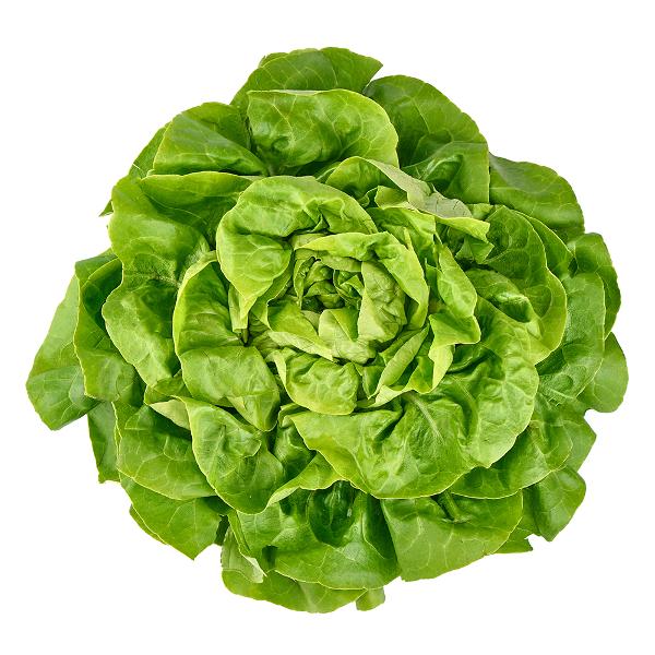 Produktfoto zu Kopfsalat