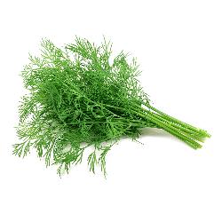 Dill