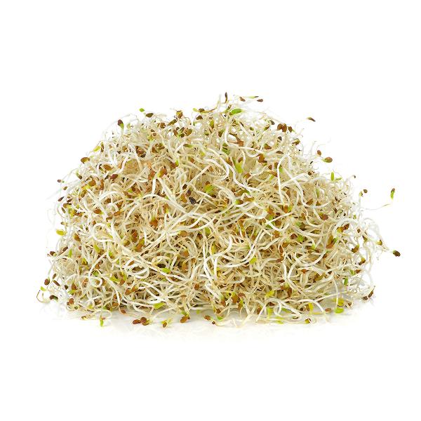 Produktfoto zu Sprossen Alfalfa