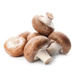 Champignons