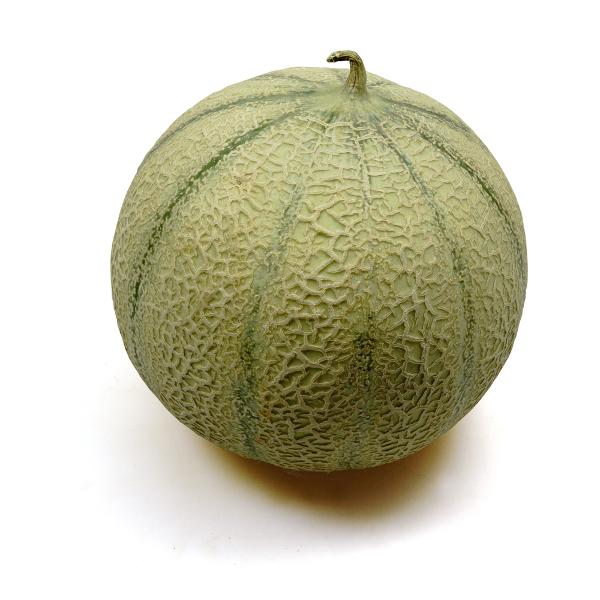 Produktfoto zu Melonen "Charantais"