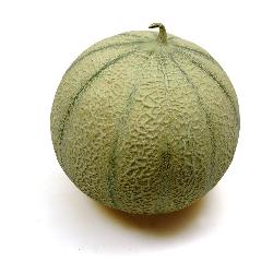 Melonen 