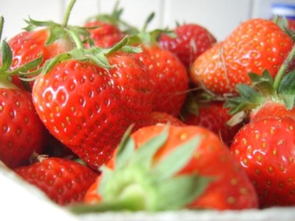 Produktfoto zu Erdbeeren 250g