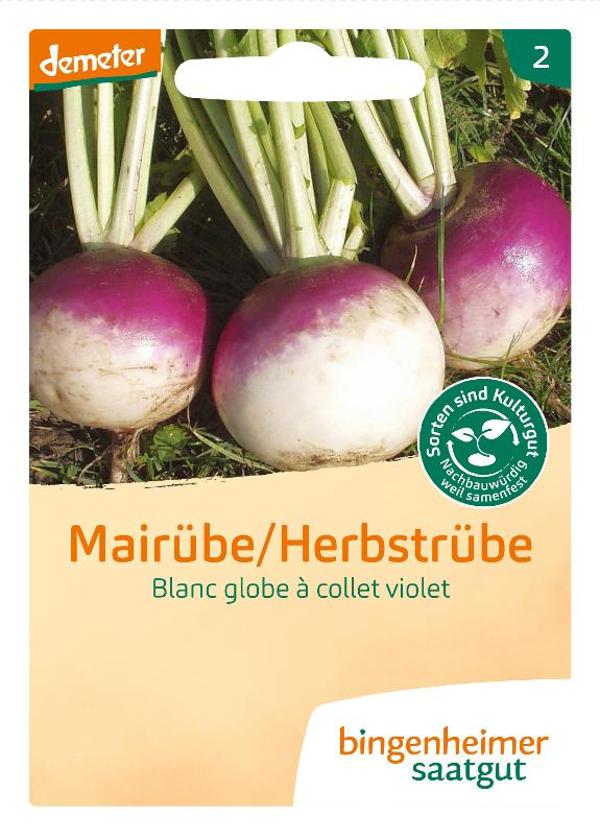 Produktfoto zu Mairübe Blanc globe … collet