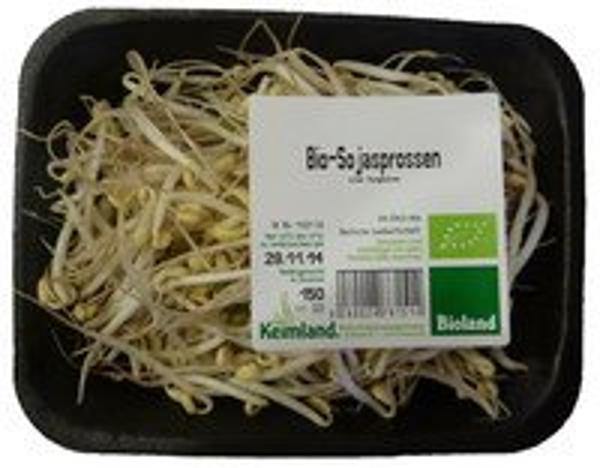 Produktfoto zu Mungbohnensprossen (Sojaspross