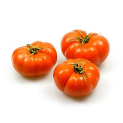 Tomaten Ochsenherz Aurea