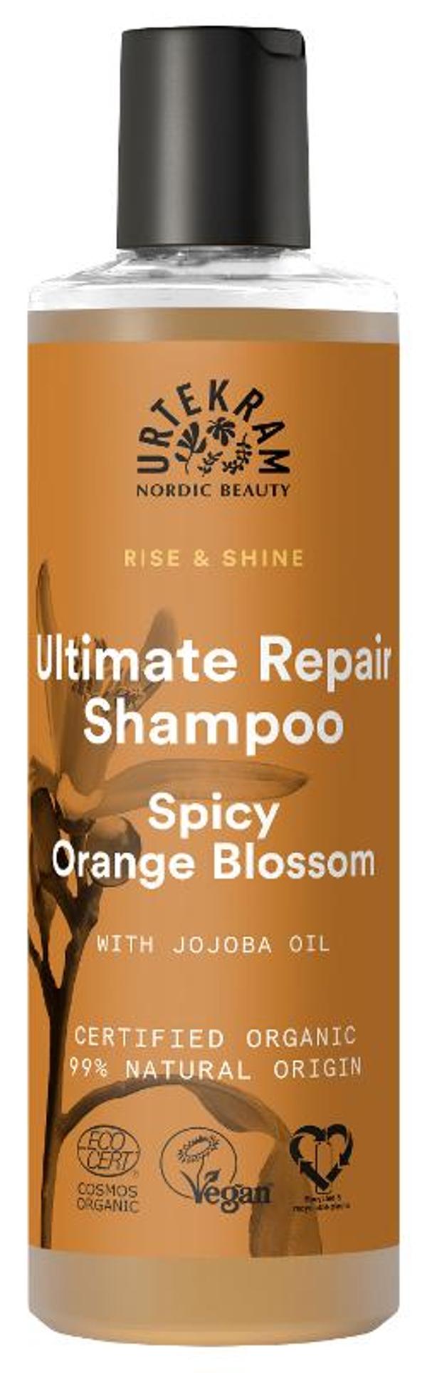Produktfoto zu Shampoo Spicy Orange Blossom