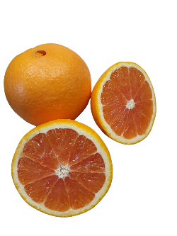 Orange Cara Cara
