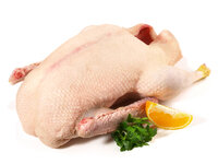 Regionale Gans 3,5-4,5Kg