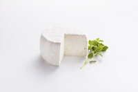 Ziegenbrie pur