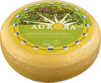 Aurora Gold Maigouda