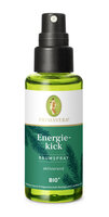 Energiekick Raumspray bio