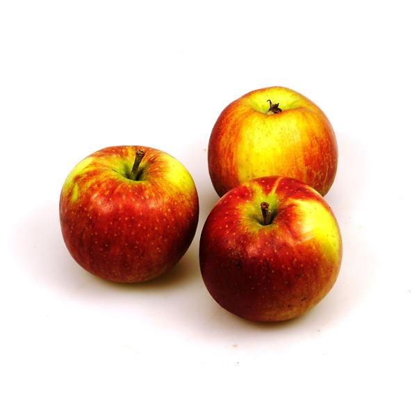Produktfoto zu Apfel Jonagold