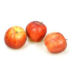 Apfel Red Jonaprince