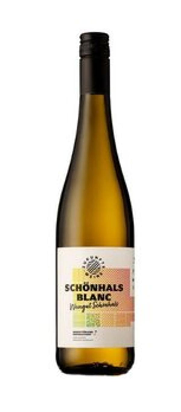 Produktfoto zu Zukunftswein Schönhals Blanc Rheinhessen 0,7L