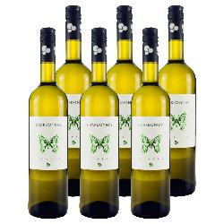 Kiste Naturian Chardonnay Terre di Chieti IGP 6x0,75L