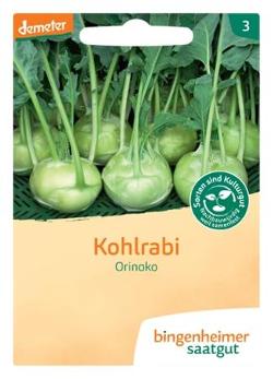 Bingenheimer Saatgut Kohlrabi Orinoko Samen