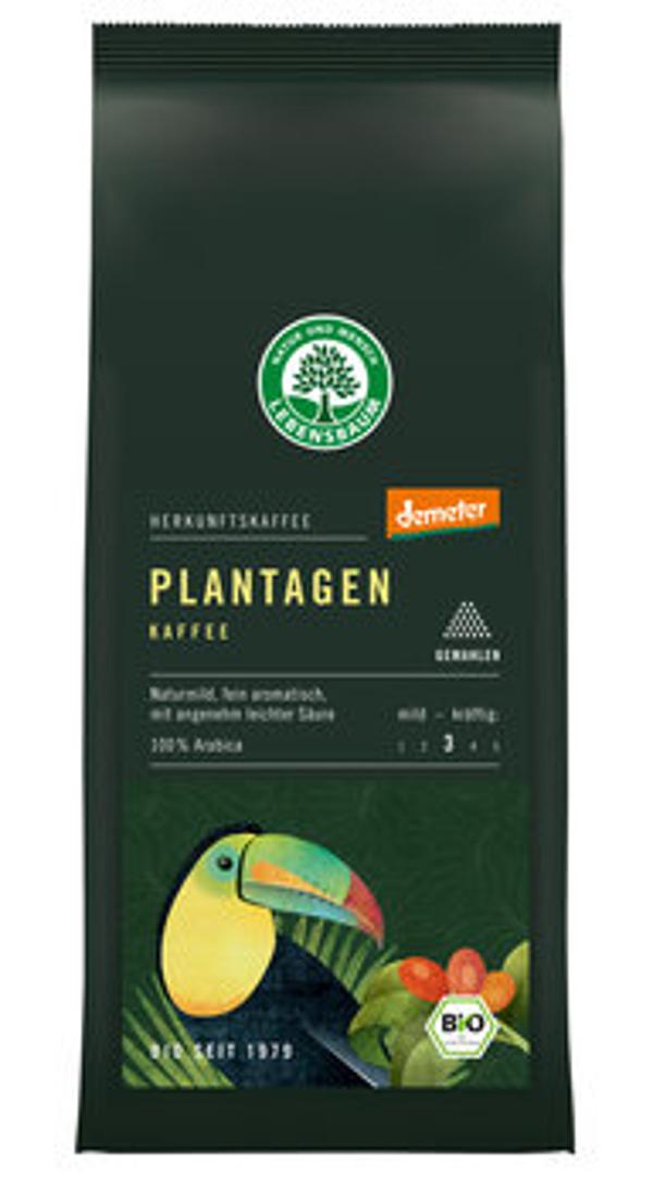 Produktfoto zu Lebensbaum Plantagen Kaffee gemahlen 250g