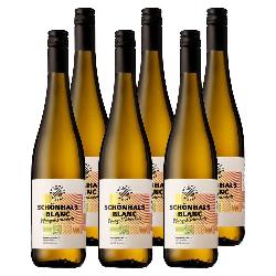 Kiste Zukunftswein Schönhals Blanc Rheinhessen 6x0,7L