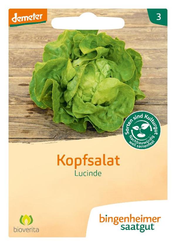 Produktfoto zu Bingenheimer Saatgut Kopfsalat Samen