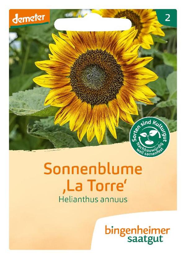 Produktfoto zu Bingenheimer Saatgut Sonnenblumen Samen
