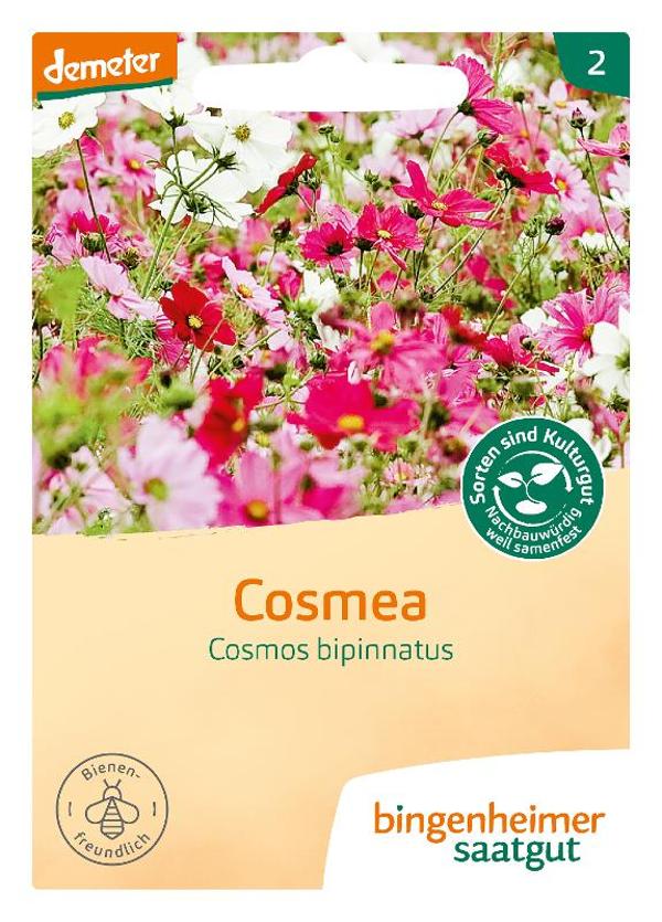 Produktfoto zu Bingenheimer Saatgut Cosmea Samen