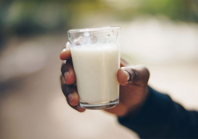 Milch, Joghurt & co.