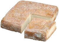 Taleggio aus Italien D.O.P. ganzer Laib
