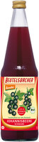 Schwarze Johannisbeere