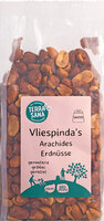 Erdnüsse mit Vlies, geröstet und gesalzen