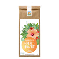 Herbstpracht - Bio Kräutertee in der Papiertüte