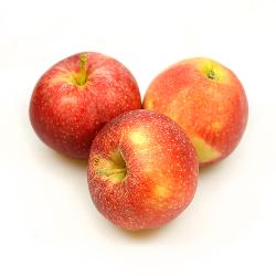Apfel - Gala