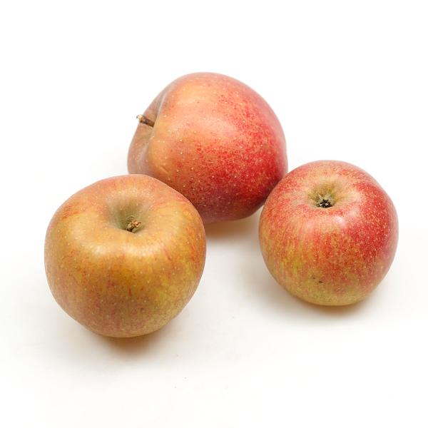 Produktfoto zu Apfel - Boskoop